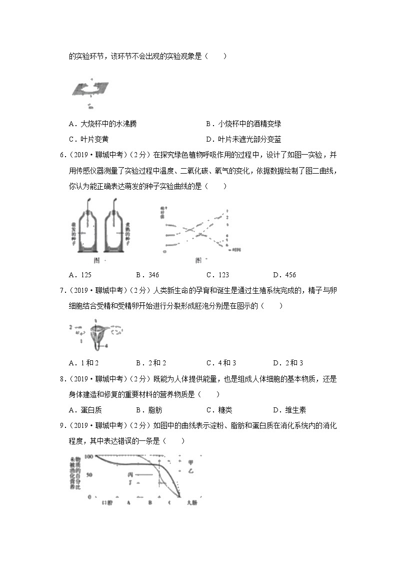 2019年山东省聊城市中考生物试题（Word版，含解析）02