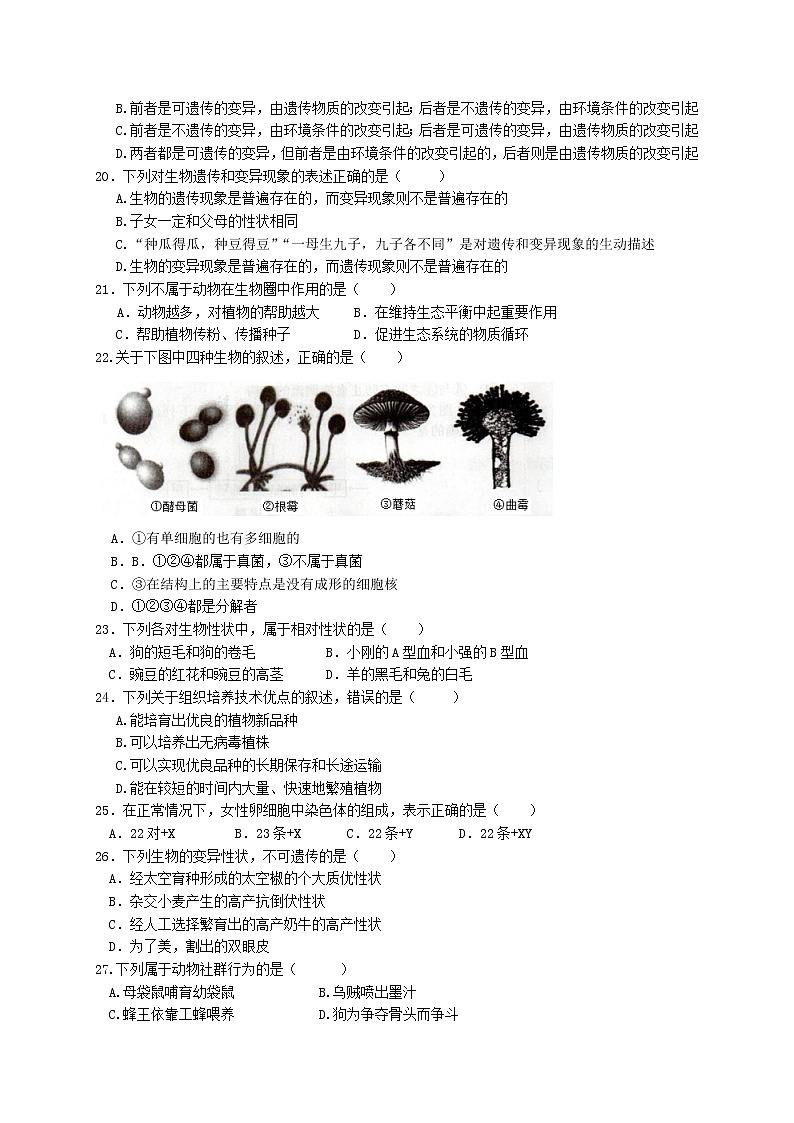 广东省惠州市惠城区2020-2021学年八年级上学期期末考试生物试题03
