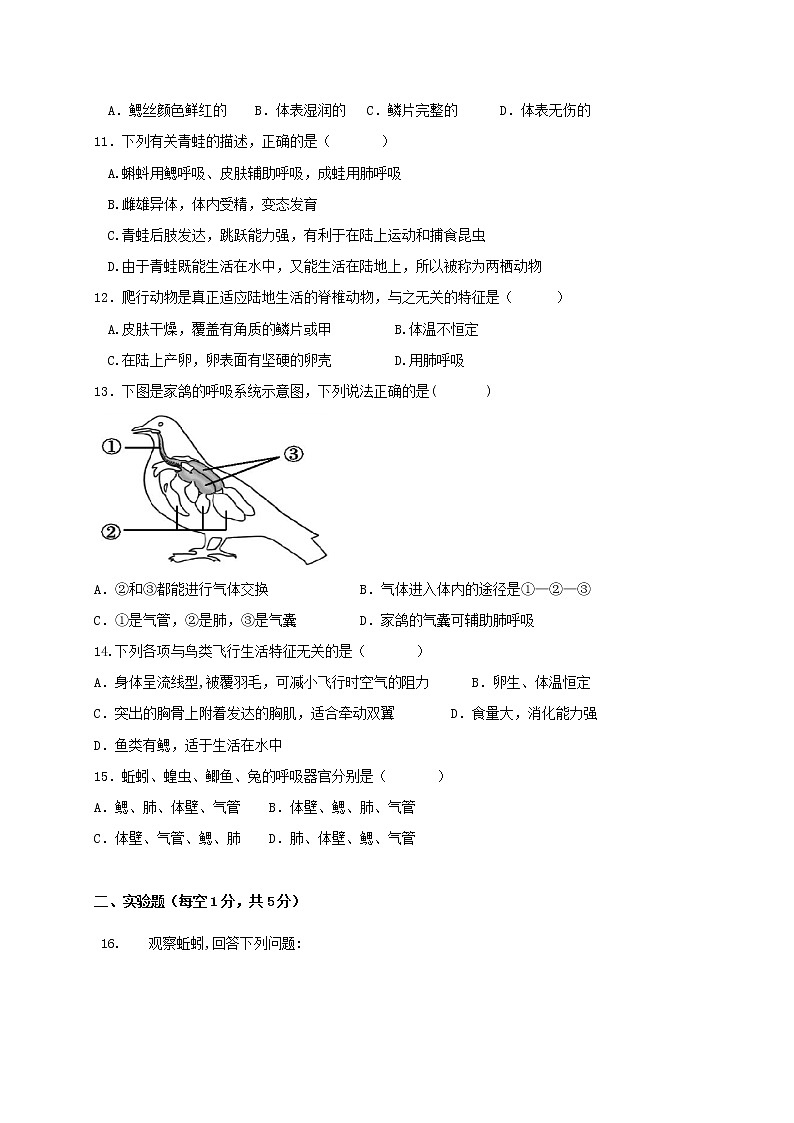 辽宁省营口大石桥市部分中学2020-2021学年八年级上学期第一次质量检测生物试题第2页