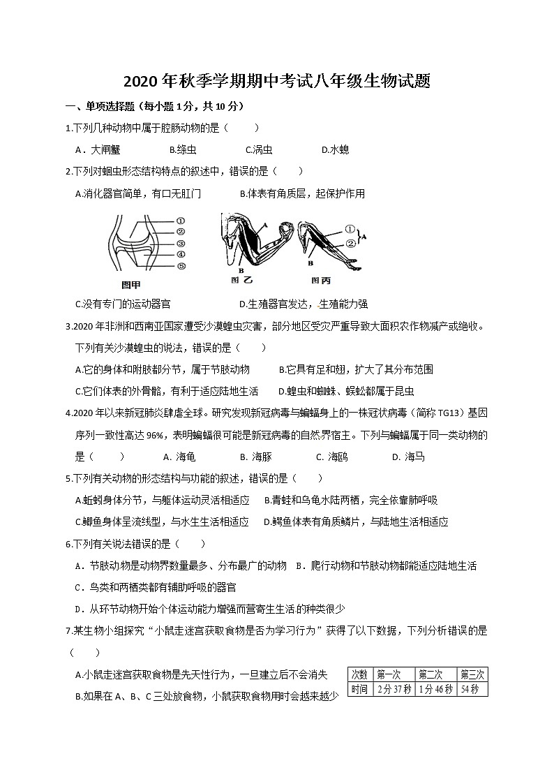 湖北省麻城市部分初中学校2020-2021学年八年级上学期期中联考生物试题01
