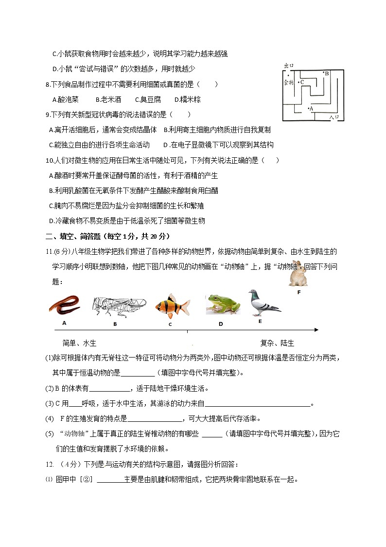 湖北省麻城市部分初中学校2020-2021学年八年级上学期期中联考生物试题02