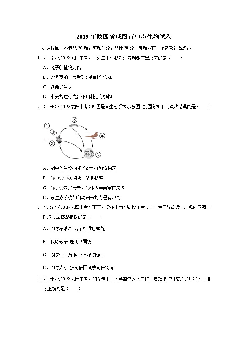 2019年陕西省咸阳市中考生物试卷第1页