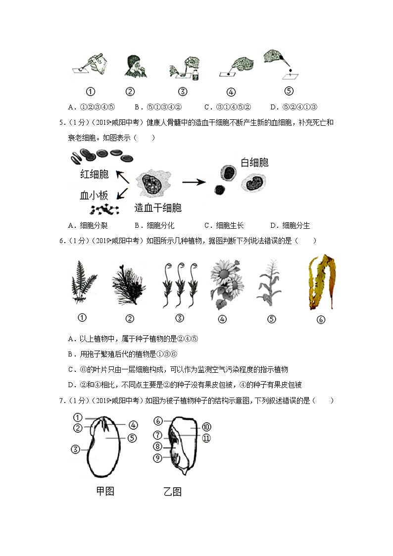 2019年陕西省咸阳市中考生物试卷第2页