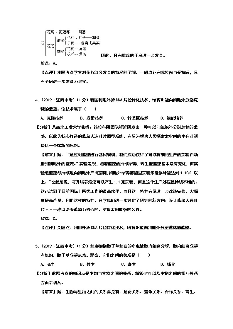 2019年江西省中考生物试题（Word版，含解析）02