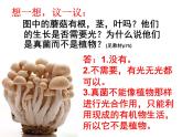 人教版八年级生物上册--5.4.3真菌 课件+ 视频素材