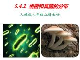 人教版八年级生物上册--5.4.1细菌和真菌的分布课件+ 视频素材