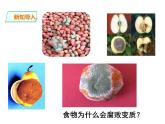 人教版八年级生物上册--5.4.1细菌和真菌的分布课件+ 视频素材