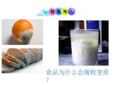 人教版八年级生物上册--5.4.5人类对细菌和真菌的利用课件 素材