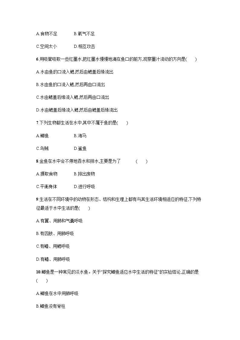 5.1.4 鱼 同步练习题（有答案）02