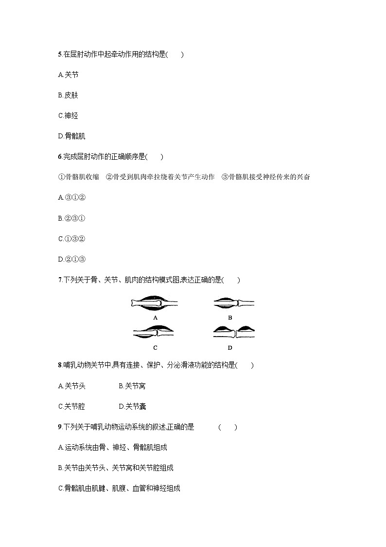 5.2.1 动物的运动 同步练习题（有答案）02