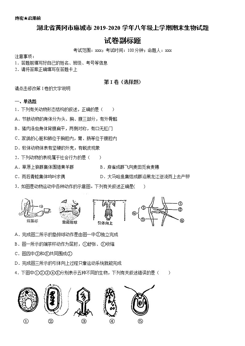 2019-2020学年八年级上学期湖北省黄冈市麻城市期末生物试题及答案（原卷+解析卷）01