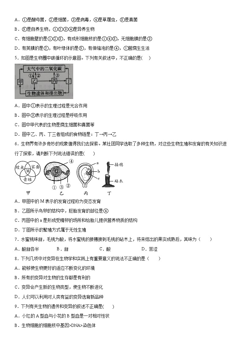 2019-2020学年八年级上学期湖北省黄冈市麻城市期末生物试题及答案（原卷+解析卷）02