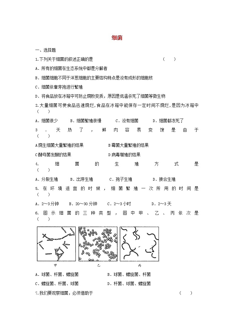 第四章 细菌和真菌 同步练习题（有答案）01
