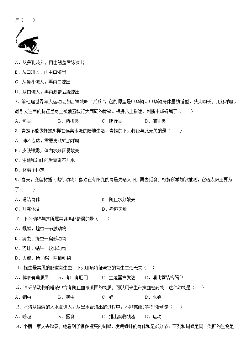 2019-2020学年八年级上学期湖南省张家界市桑植县五道水镇中学12月月考生物试题（教师卷）第2页