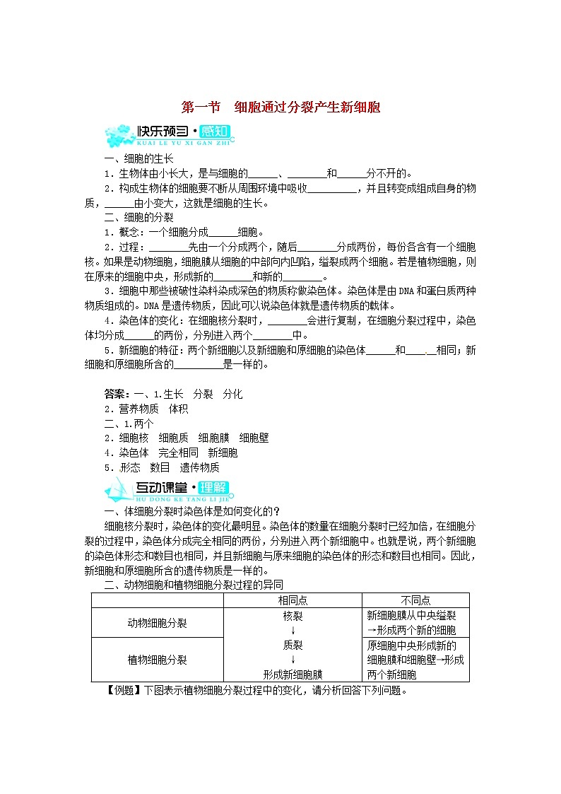 新人教版七年级上册：2.2.1《细胞通过分裂产生新细胞》练习及答案第1页