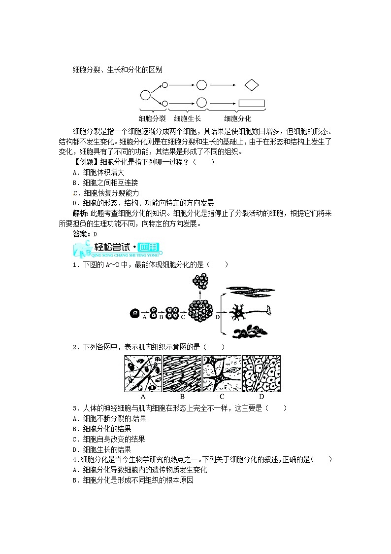 新人教版七年级上册：2.2.2《动物体的结构层次》练习及答案第2页