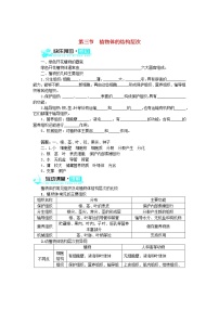 初中生物人教版 (新课标)七年级上册第三节 植物体的结构层次同步训练题