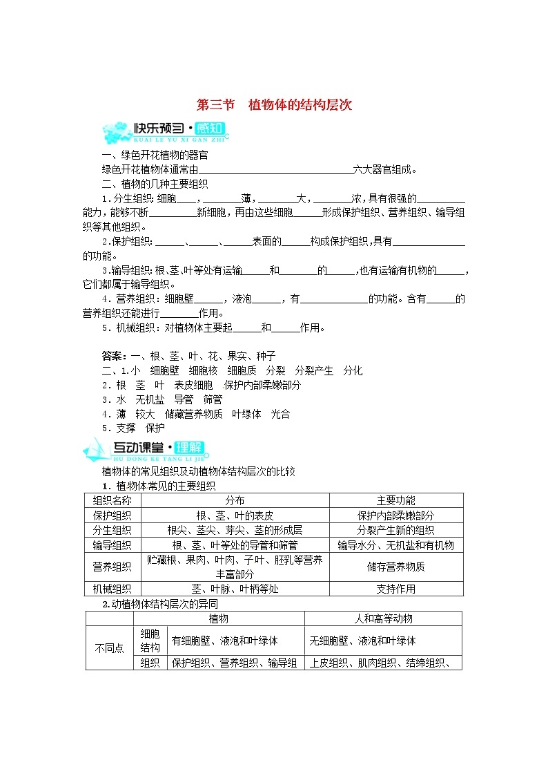 新人教版七年级上册：2.2.3《植物体的结构层次》练习及答案01