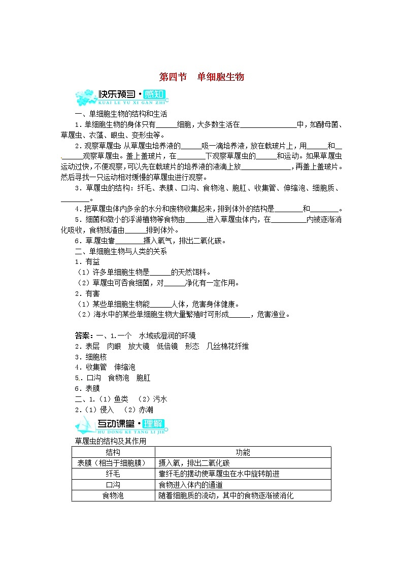 新人教版七年级上册：2.2.4《单细胞生物》练习及答案01