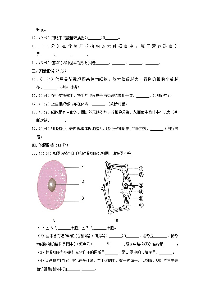2018-2019学年辽宁省铁岭市调兵山市七年级（上）第二次月考生物试卷  解析版第2页