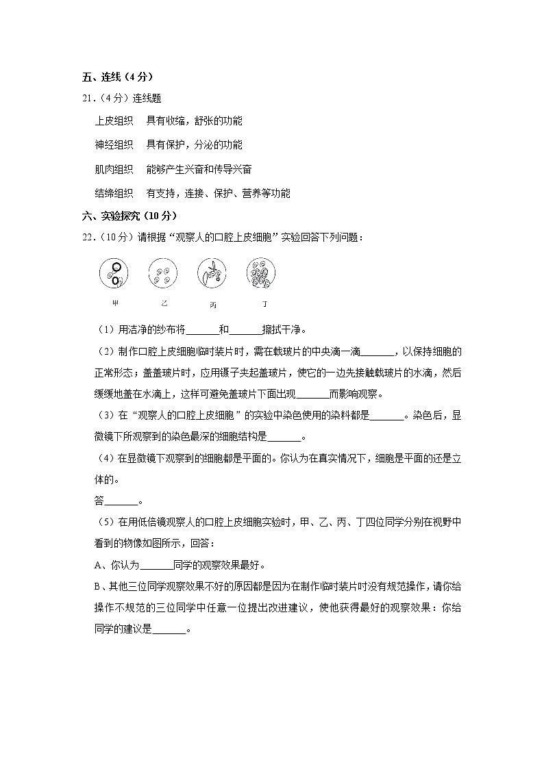 2018-2019学年辽宁省铁岭市调兵山市七年级（上）第二次月考生物试卷  解析版第3页