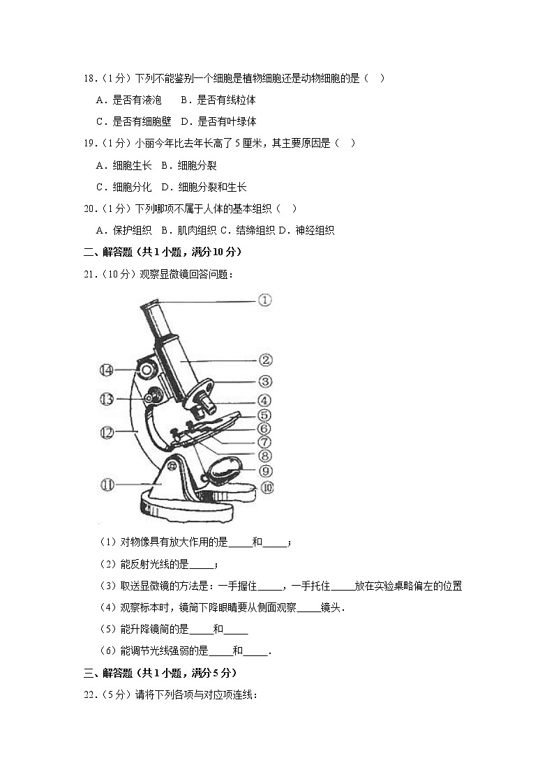 2018-2019学年辽宁省沈阳127中七年级（上）月考生物试卷（10月份）第3页