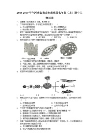 2018-2019学年河南省商丘市虞城县七年级（上）期中生物试卷（解析版）