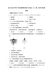 2018-2019学年广西北部湾经济区七年级（上）第二次月考生物试卷（解析版）