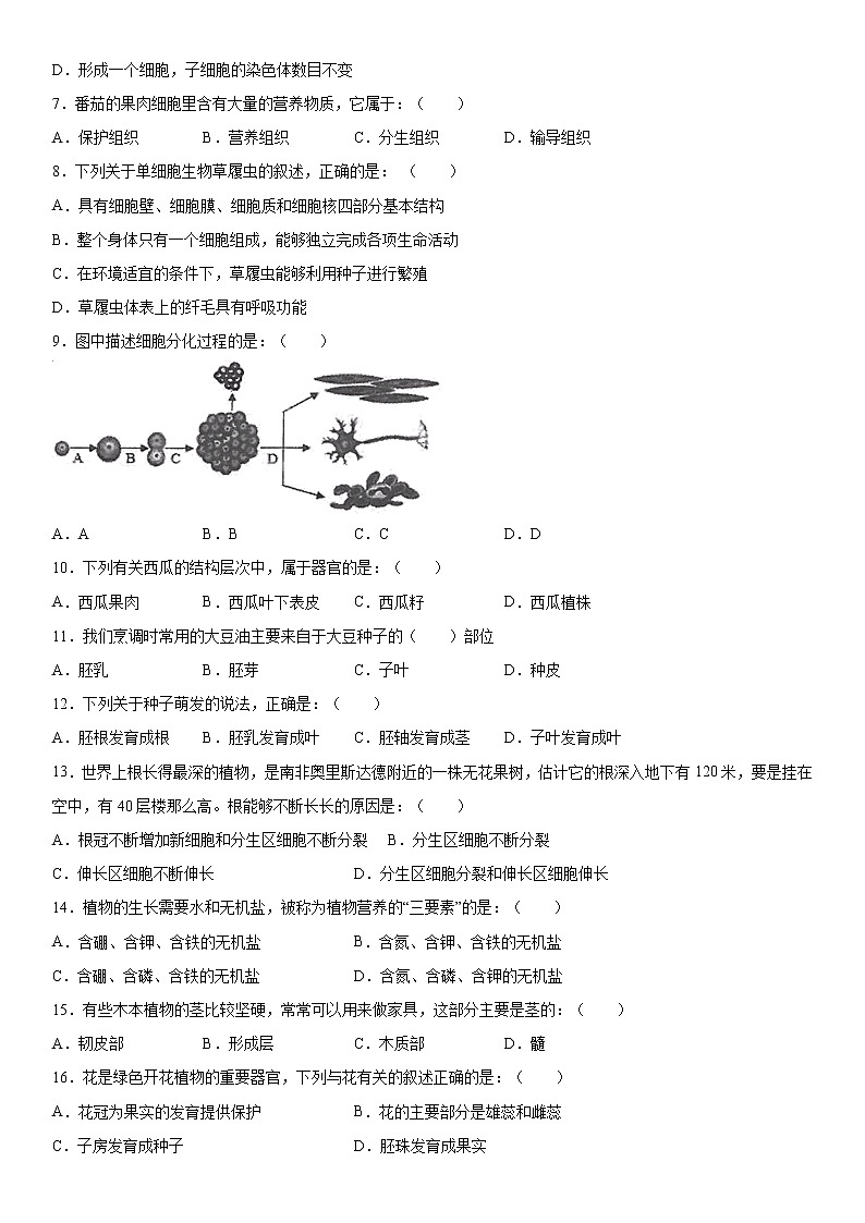 2019-2020学年七年级上学期安徽省合肥市蜀山区期末生物试题（解析卷）第2页