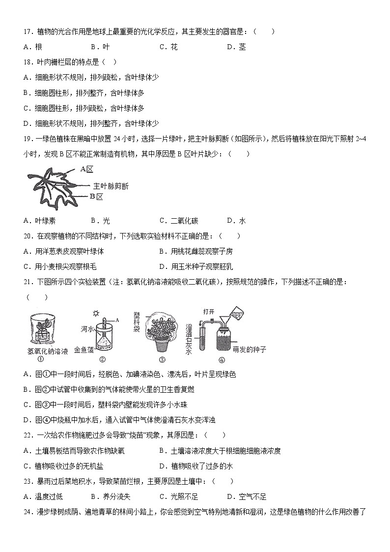 2019-2020学年七年级上学期安徽省合肥市蜀山区期末生物试题（解析卷）第3页