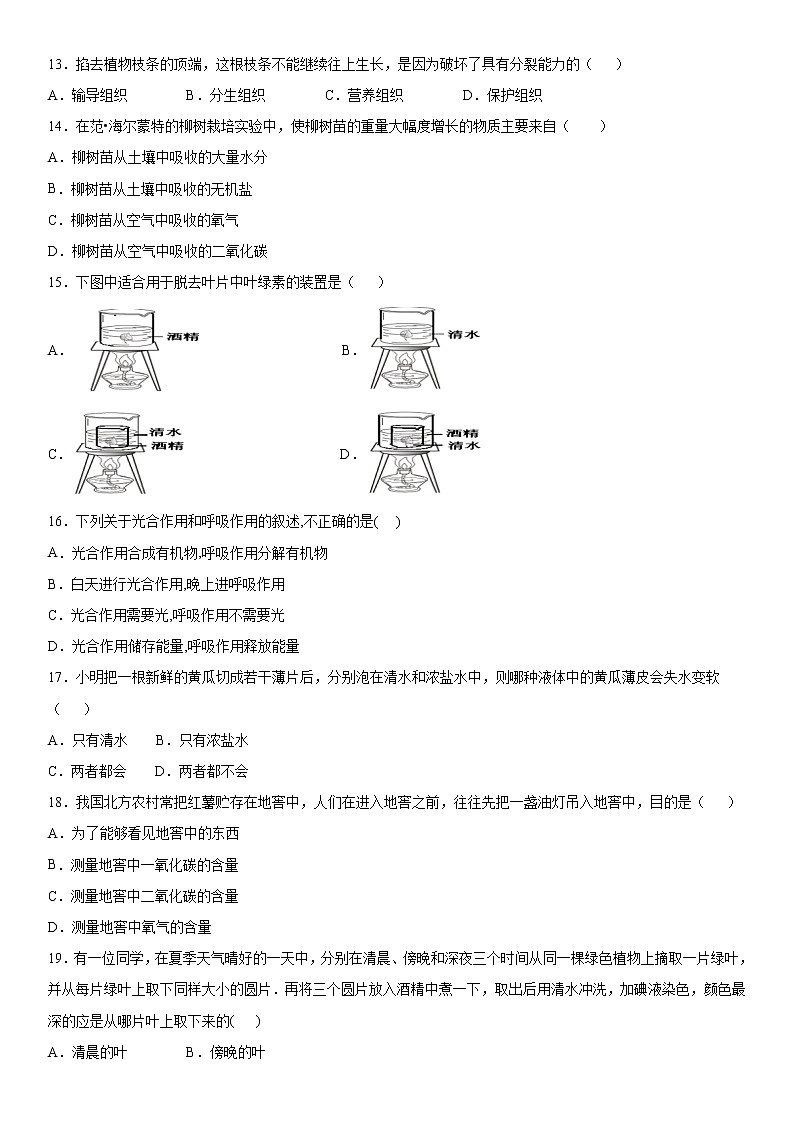 2019-2020学年七年级上学期安徽省淮南市期末生物试题（原卷+解析卷）03