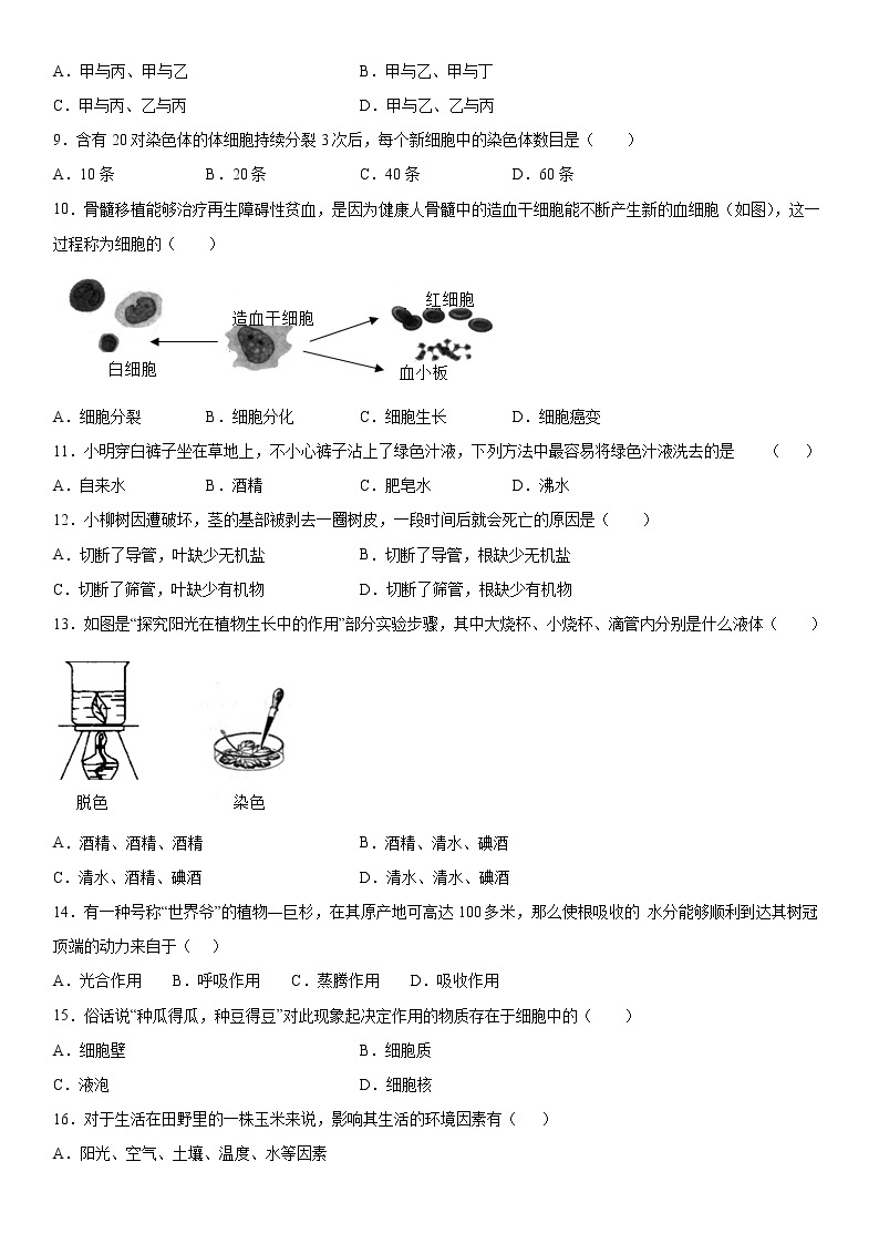 2019-2020学年七年级上学期江西省新余市期末质量检测生物试题（原卷+解析卷）02