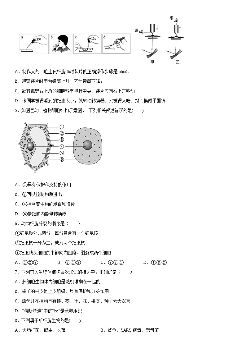 2019-2020学年七年级上学期湖北省孝感市云梦县期末生物试题（原卷+解析卷）02