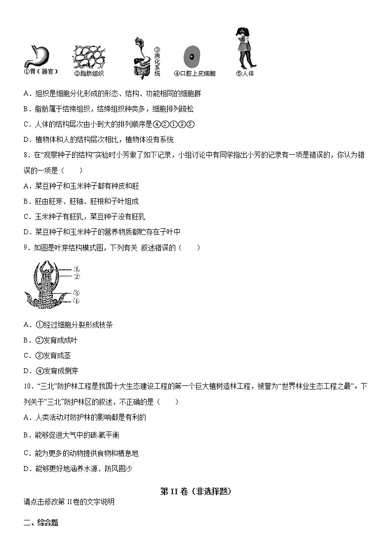 2019-2020学年七年级上学期湖北省恩施州恩施市期末生物试题（原卷）第2页