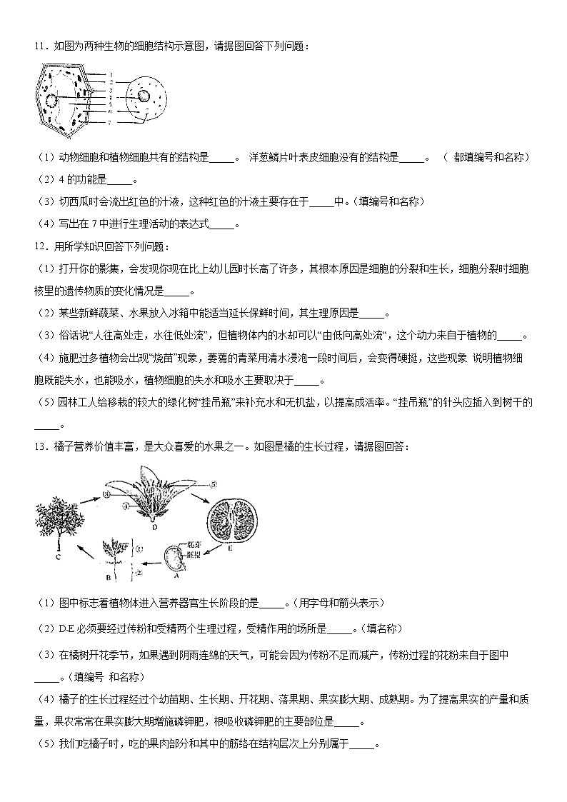 2019-2020学年七年级上学期湖北省恩施州恩施市期末生物试题（解析卷）第3页