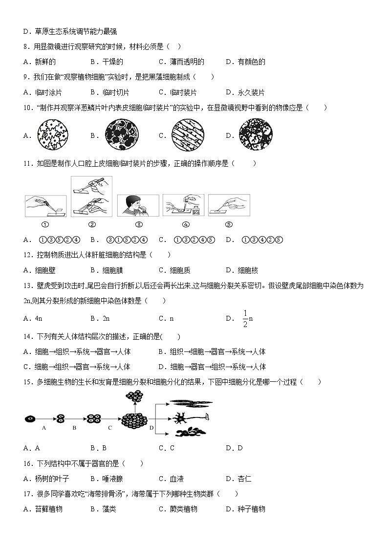 2019-2020学年七年级上学期安徽省芜湖市无为县期末生物试题（原卷+解析卷）02