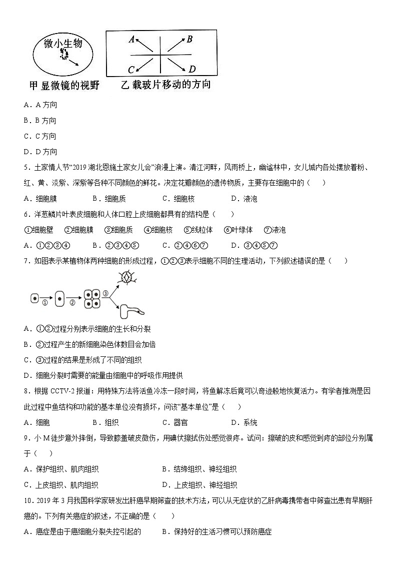2019－2020学年七年级上学期湖北省恩施州巴东县期中生物试题（解析卷）第2页