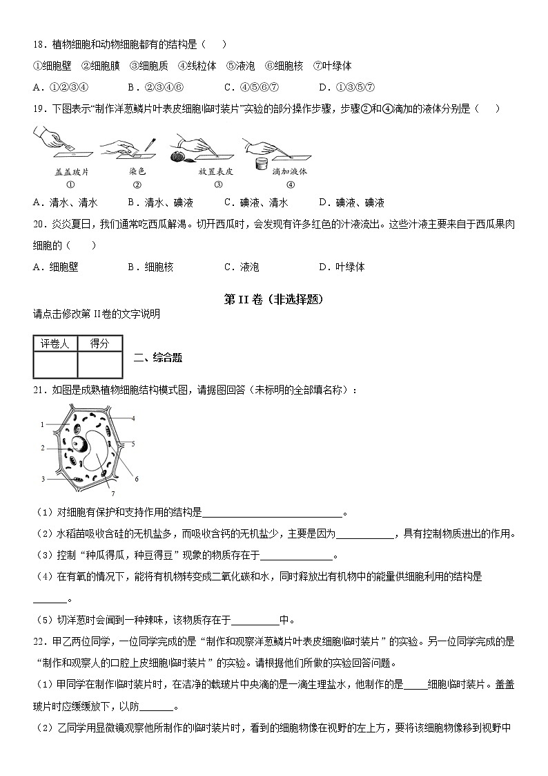 2019--2020年七年级上学期山东省菏泽市牡丹区月考生物试题（原卷+解析卷）03