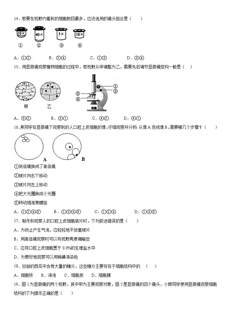2019--2020年七年级上学期广东省河源市正德中学第二次月考生物试题（原卷）第3页