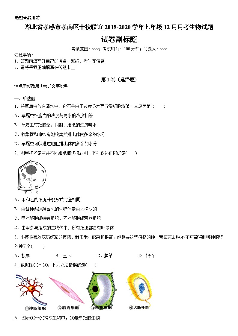 2019-2020学年七年级上学期湖北省孝感市孝南区十校联谊12月月考生物试题（原卷+解析卷）01