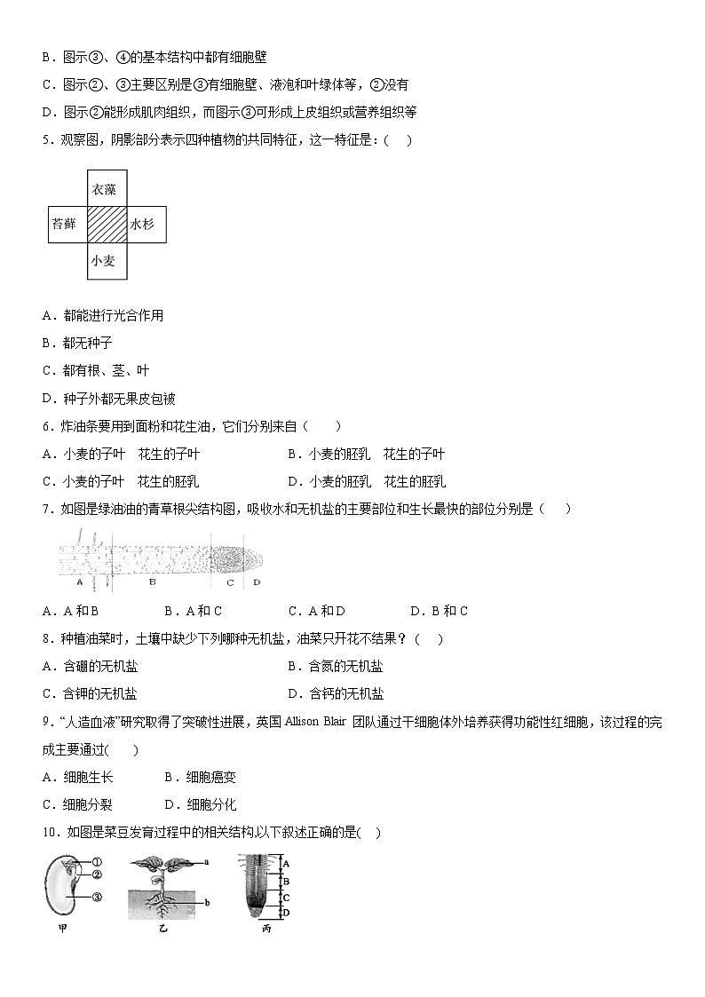 2019-2020学年七年级上学期湖北省孝感市孝南区十校联谊12月月考生物试题（原卷+解析卷）02