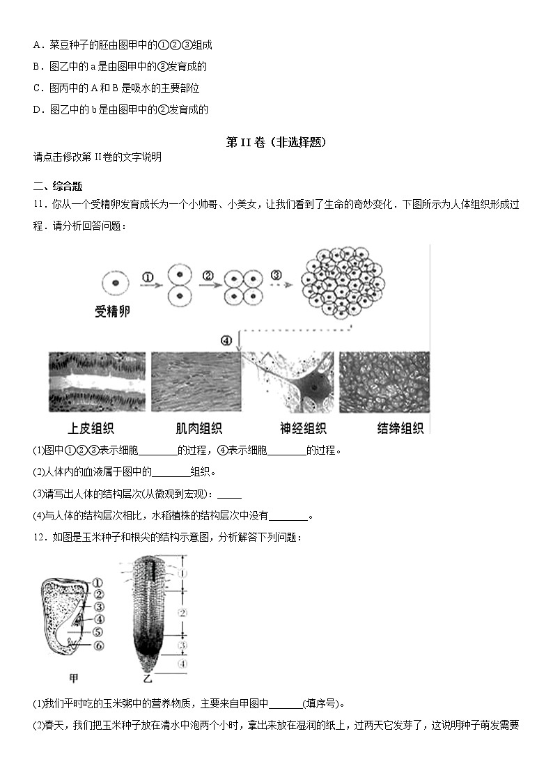 2019-2020学年七年级上学期湖北省孝感市孝南区十校联谊12月月考生物试题（原卷+解析卷）03