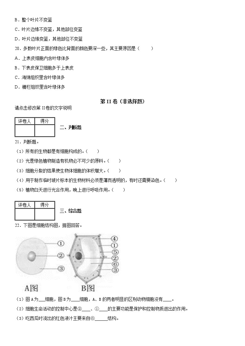 2019-2020学年七年级上学期安徽省阜阳市太和县民族中学第三次月考生物试题（解析卷）第3页