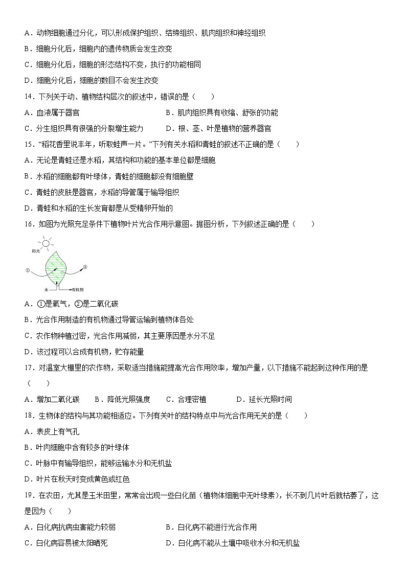 2019-2020学年七年级上学期湖北省潜江市积玉口镇初级中学11月月考生物试题（解析卷）第3页