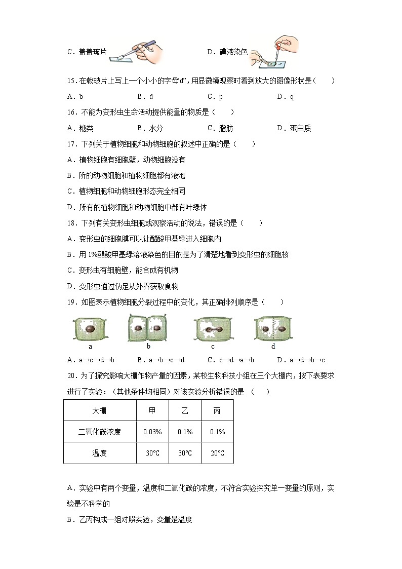 河南省开封市2021-2022学年七年级上学期期中生物试题（word版 含答案）03