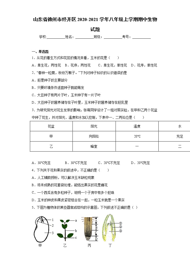 山东省德州市经开区2020-2021学年八年级上学期期中生物试题（word版 含答案）01