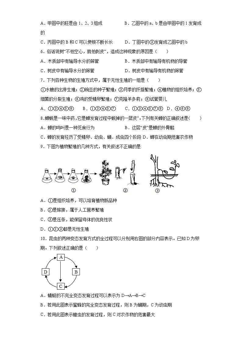 山东省德州市经开区2020-2021学年八年级上学期期中生物试题（word版 含答案）02