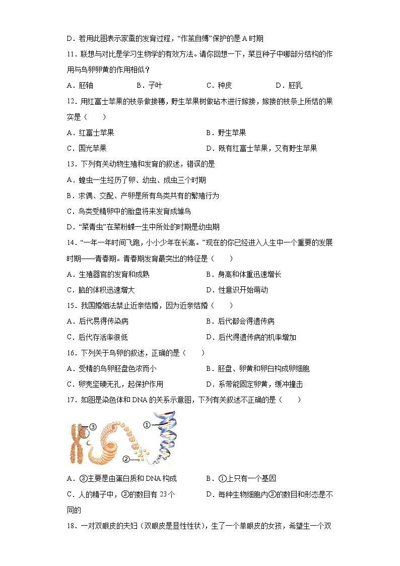 山东省德州市经开区2020-2021学年八年级上学期期中生物试题（word版 含答案）03