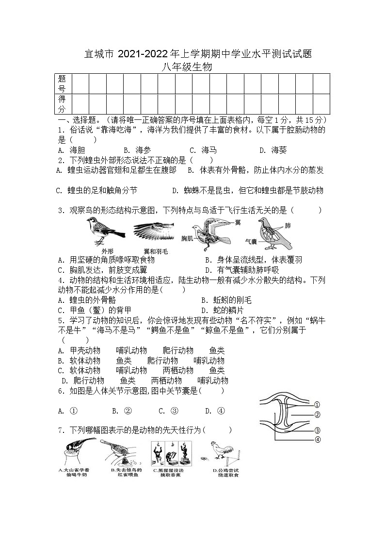 湖北省宜城市2021-2022学年八年级上学期期中考试生物试题（word版 含答案）01