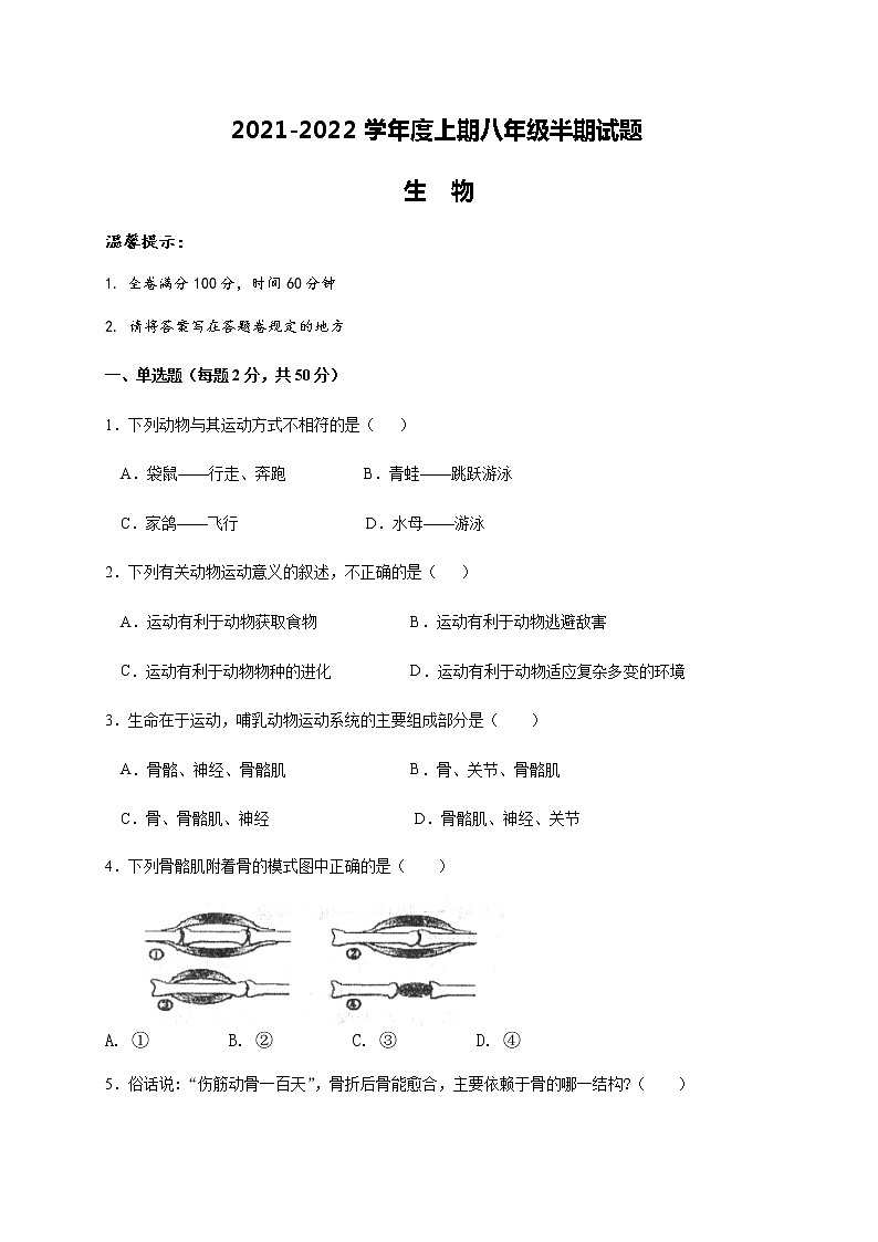 四川省成都市大邑县2021-2022学年八年级上学期期中联考生物试题（word版 含答案）第1页